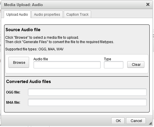 Media Upload: Audio window